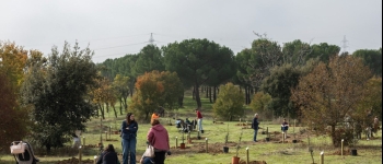 mas-de-100-familias-participan-en-la-plantacion-apadrina-un-arbol-en-pozuelo