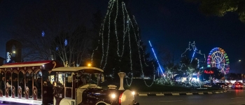 luces-y-farolillos-para-iluminar-la-navidad-en-pozuelo-de-alarcon