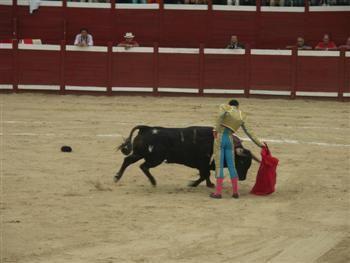 Julio Aparicio corta dos orejas y sale por la puerta grande de la Plaza de las Américas