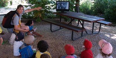 Nacen nueve carboneros en el Aula de Educación Ambiental de Pozuelo