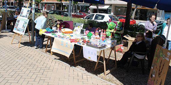 130601 feria asociaciones pozuelo 13