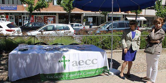 130601 feria asociaciones pozuelo 18