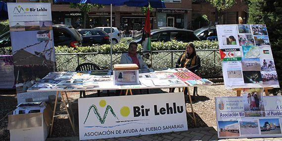 130601 feria asociaciones pozuelo 25