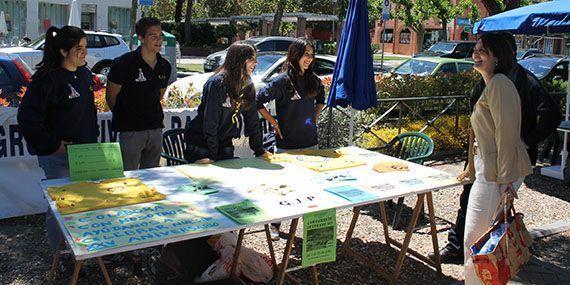 130601 feria asociaciones pozuelo 27