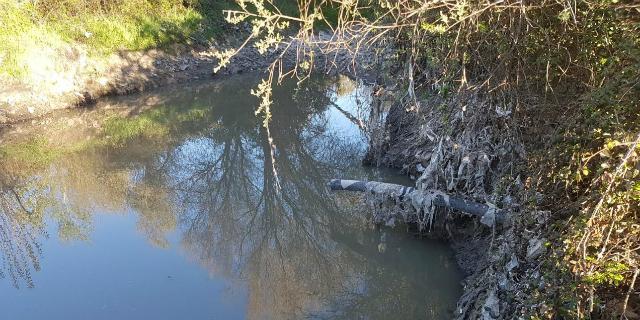 Somos Pozuelo denuncia un “crimen ambiental” en la cabecera del Arroyo Vallelargo 