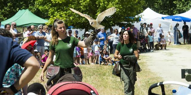 Pozuelo celebró el Día Mundial del Medio Ambiente en el Parque Forestal Adolfo Suárez