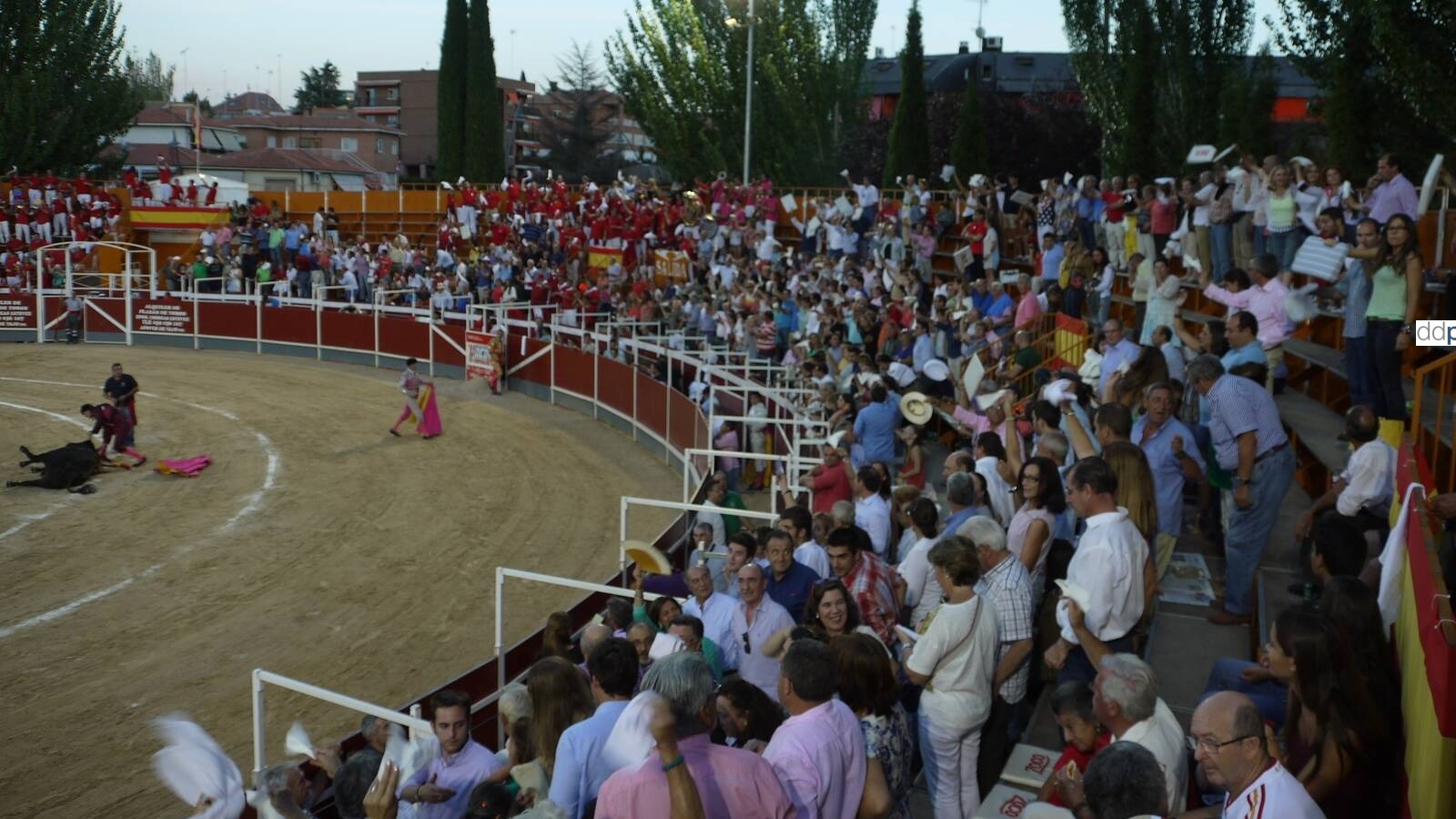 Vuelven las corridas de toros, novilladas y encierros a las fiestas de Pozuelo