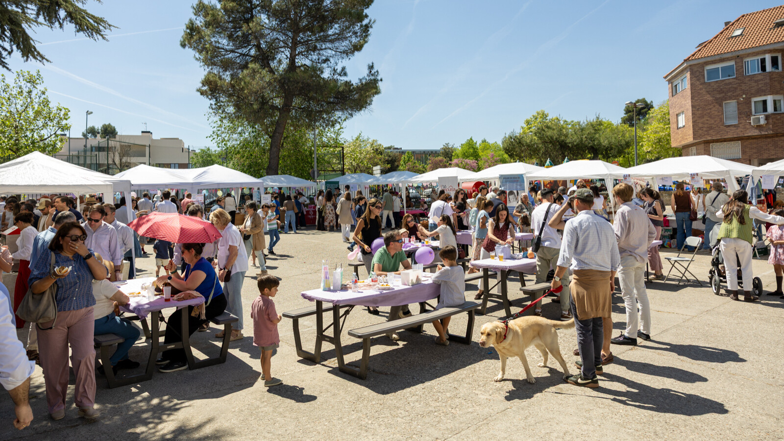 La parroquia Santa María Magdalena de Húmera celebra el Día de la Familia y de la Vida