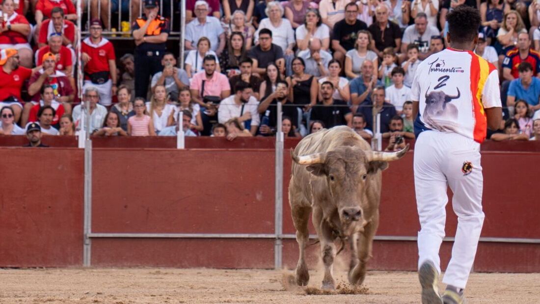Pozuelo celebra el tradicional concurso de recortes